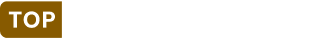 topingegneria logo (1)