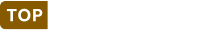 topimpianti logo piccolo
