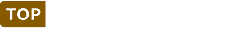 topingegneria logo