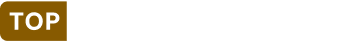 topingegneria logo